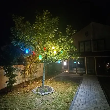 Villa Sapanca Goel Evi