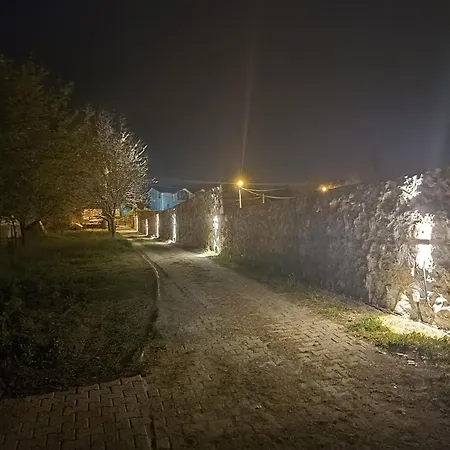 Sapanca Goel Evi فيلة